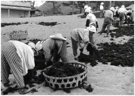 雲見海岸（昭和43年6月）.jpg